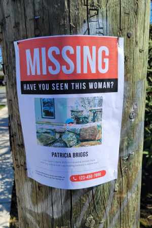 Missing Poster 1
