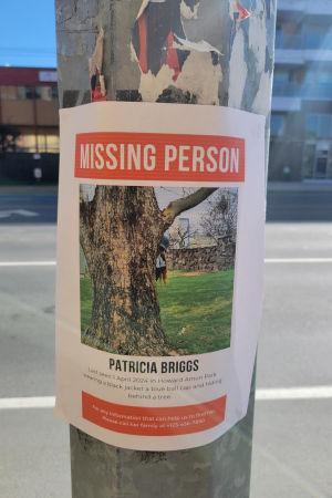 Missing Poster 4