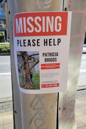 Missing Poster 5
