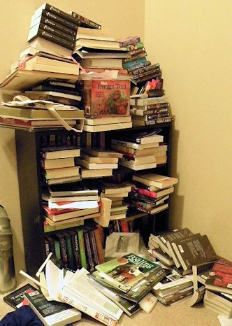 One of Patty's Book Shelves.